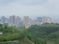 -金城公园