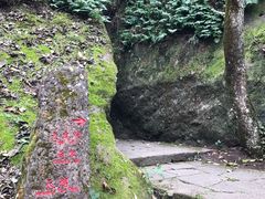 景点-武夷山风景名胜区-虎啸岩