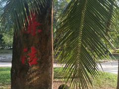 -红色娘子军纪念园