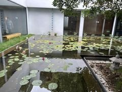 -雪霁山庄·合肥地标老字号