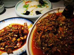 -院8里·小聚园老川菜(九眼桥店)