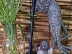 -素心斋素食餐厅