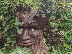 -海南热带野生动植物园
