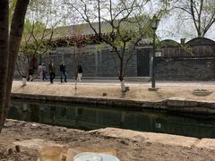 -春风习习