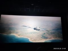 -华美国际影城(旧宫永辉店)