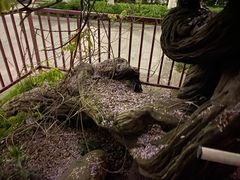 -郑和公园