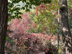 -天津盘山风景名胜区