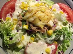 -春草居酒屋·晴子の店