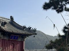 -潭柘寺景区