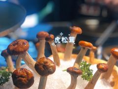 -凤园椰珍·臻品椰子鸡(保利时光里店)