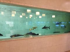 -古韵轩·江浙融合菜(梁溪店)