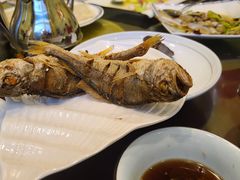 黄花鱼-宾朋海鲜饭庄(兴海路店)