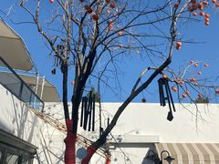 -素心小筑(后沙裕镇店)