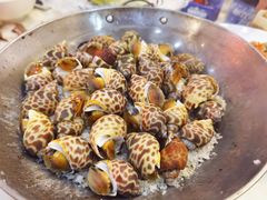 -长平老姿娘夜粥(平东一街店)