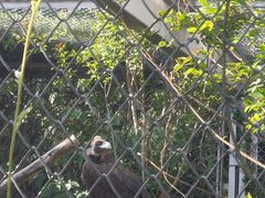 -合肥野生动物园
