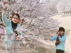 -奥林匹克森林公园北园-停车场