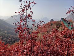 -狼牙山风景区