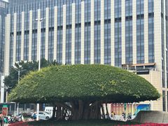-南宁南湖公园