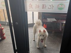 -亿诣蝎府炸酱面羊蝎子火锅(酷车小镇店)
