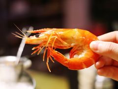-囧吉香生蚝牛排馆(湖北路店)