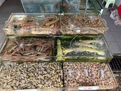 -广东名门