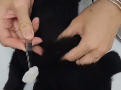 -科道动物医院·急重症中心(万达院)