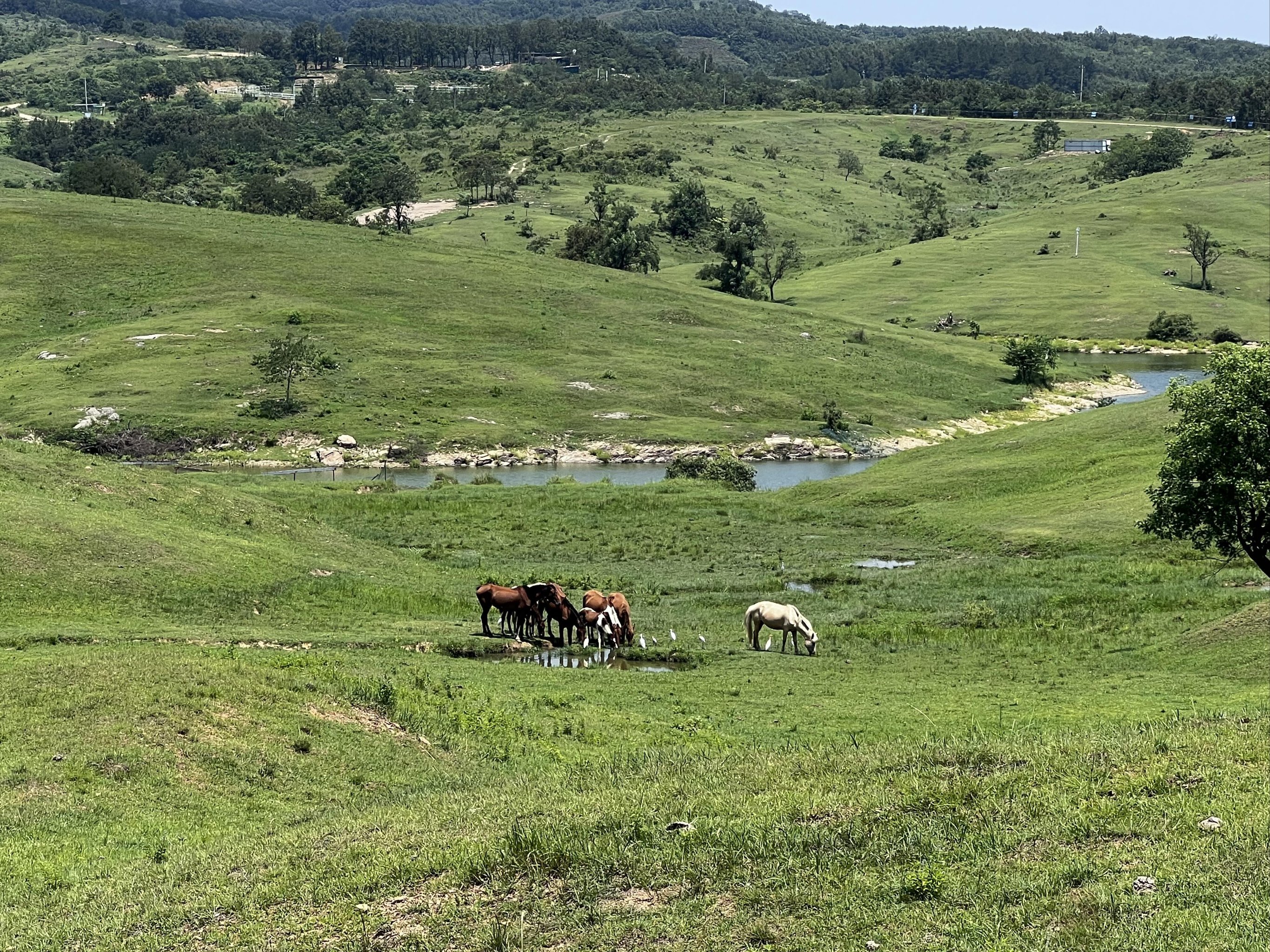 南京出发|电车自驾每周玩一地儿