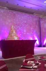 宴会厅-上海虹桥锦江大酒店·宴会厅