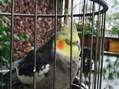 -上海外滩中星君亭酒店