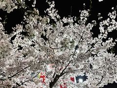 -龙美术馆(西岸馆)