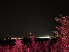 -莫子山公园