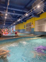 -宝燕乐园(闵行旗舰店)