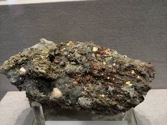 -湖南省地质博物馆