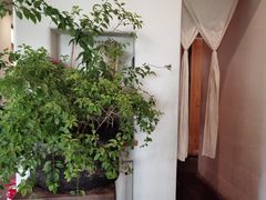 -瓦库茶馆17号(海汇港店)