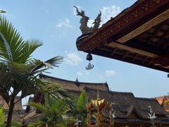 -西双版纳傣族园