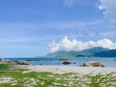 -花海间·即刻露营