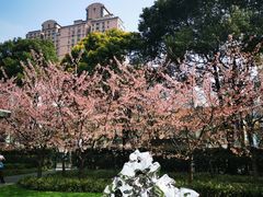 -静安雕塑公园