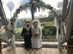 -济州岛泰迪熊博物馆