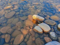 -金海湾滨江公园