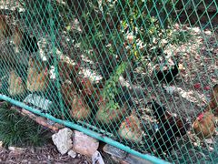 -呼吸森林·生态农庄农家乐私房菜