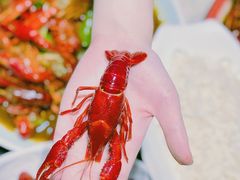 -沪小胖小龙虾(淮海中路旗舰店)