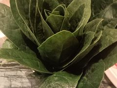 -大渔小鲜火锅店