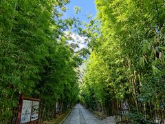 -蝴蝶泉公园