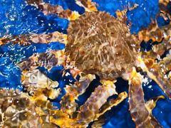 -盒马鲜生(顺义店)