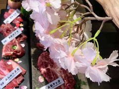 -樱宿日式和牛烧肉(五道口店)