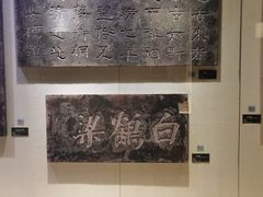 -白鹤梁水下博物馆
