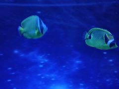 -北海·海洋之窗