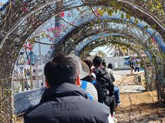 -汕尾巴黎半岛酒店