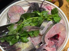 -老凯俚酸汤鱼(多彩城店)