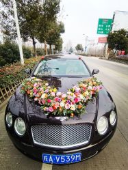 -蚂蚁婚车